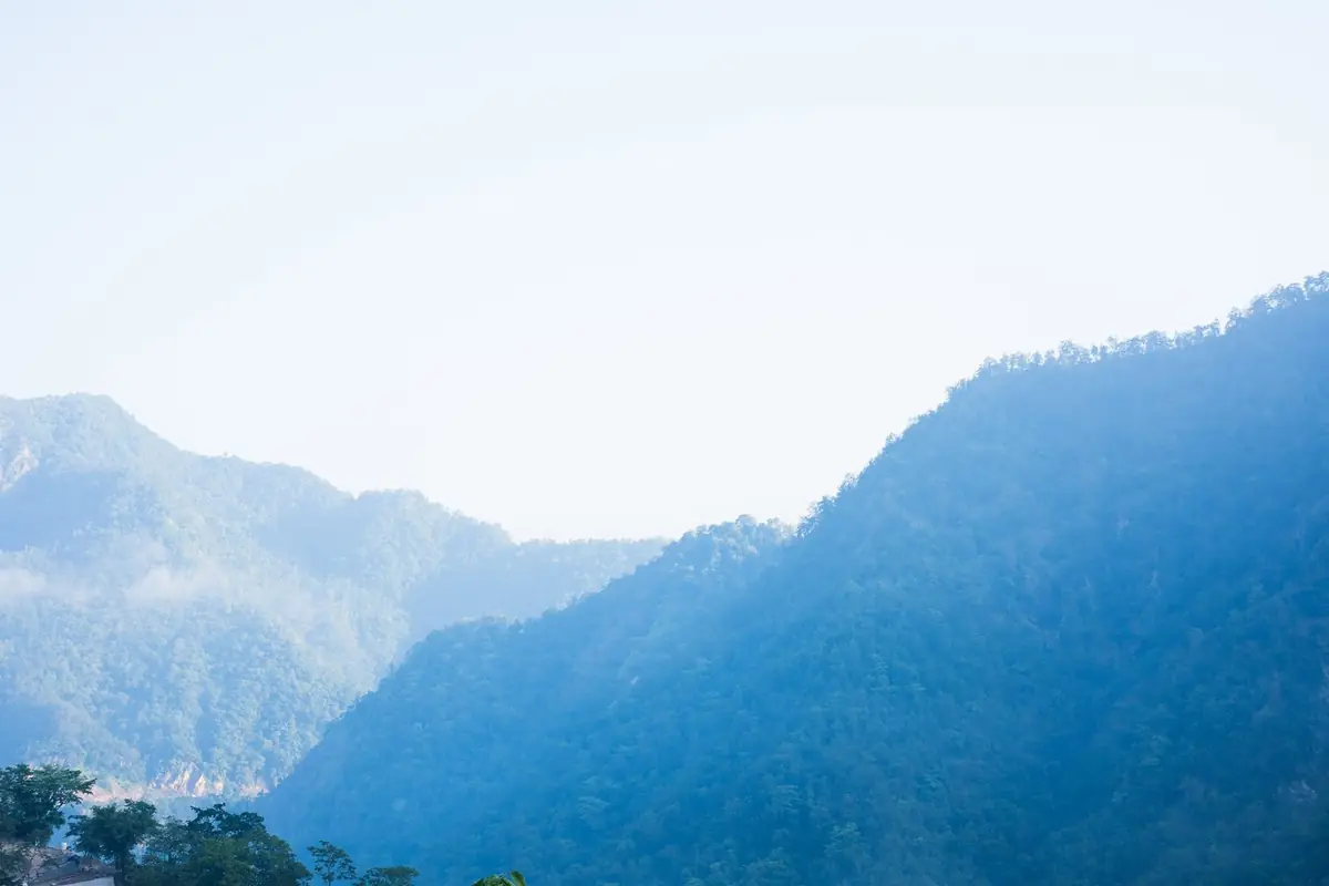 Vata Dosha - The Energy of Movement and Change